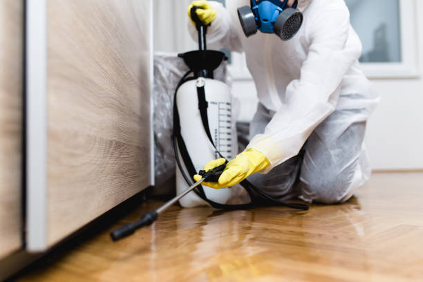 Best Exterminator Services  in Town Creek, AL