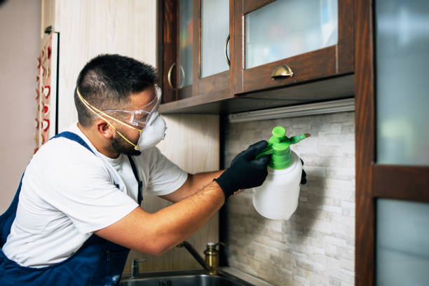 Best Cockroach Control Services  in Town Creek, AL