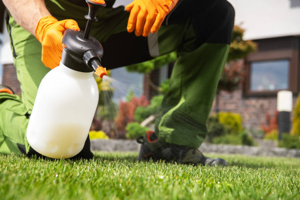 Best Residential Pest Control  in Town Creek, AL