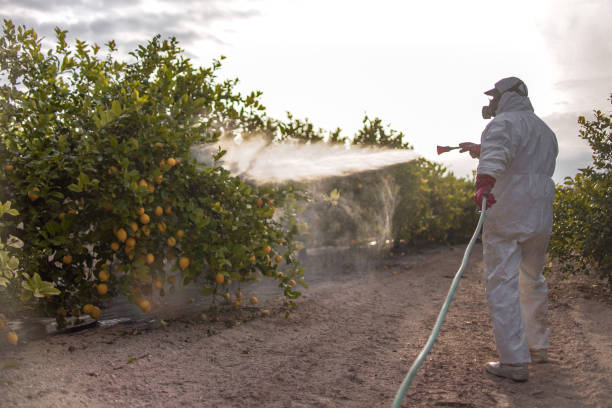 Best Best Pest Control Companies  in Town Creek, AL
