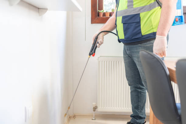 Best Local Pest Control Services  in Town Creek, AL