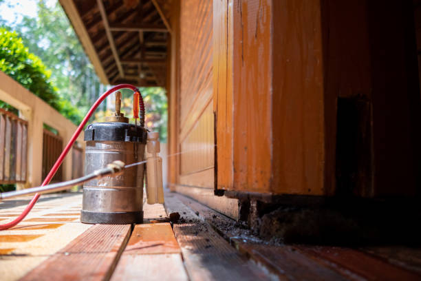 Best Pest Removal Services  in Town Creek, AL