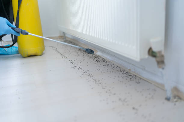 Best Best Pest Control Companies  in Town Creek, AL