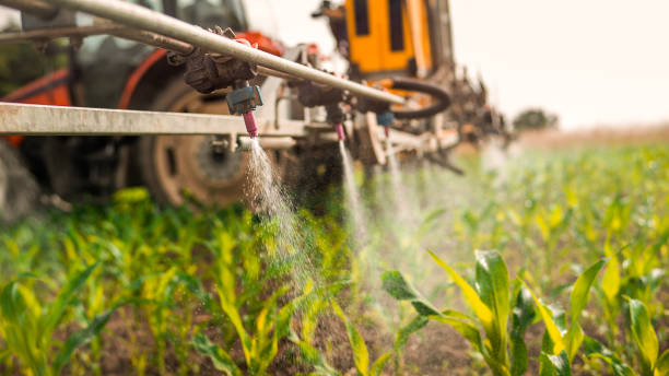 Best Commercial Pest Control Services  in Town Creek, AL